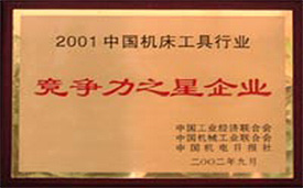 2001競(jìng)爭力之星.jpg